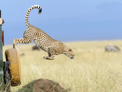 Asafina Safaris_Flying Malaika
