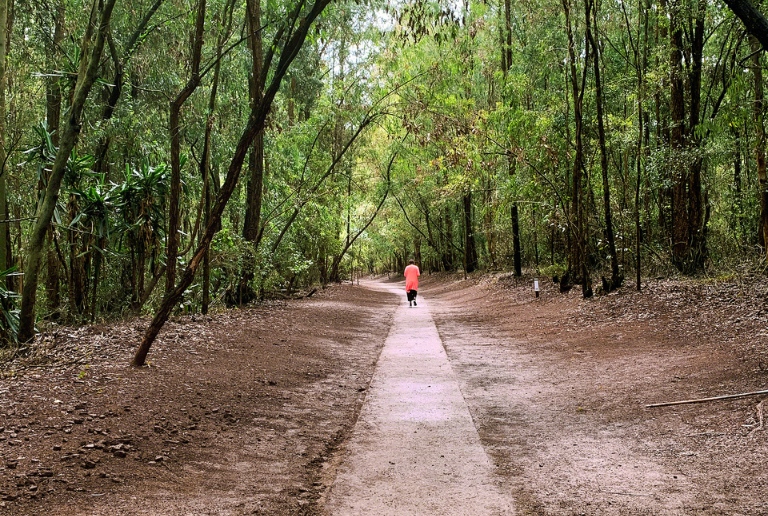 Budget Safari Packages_Nairobi City_Karura Forest