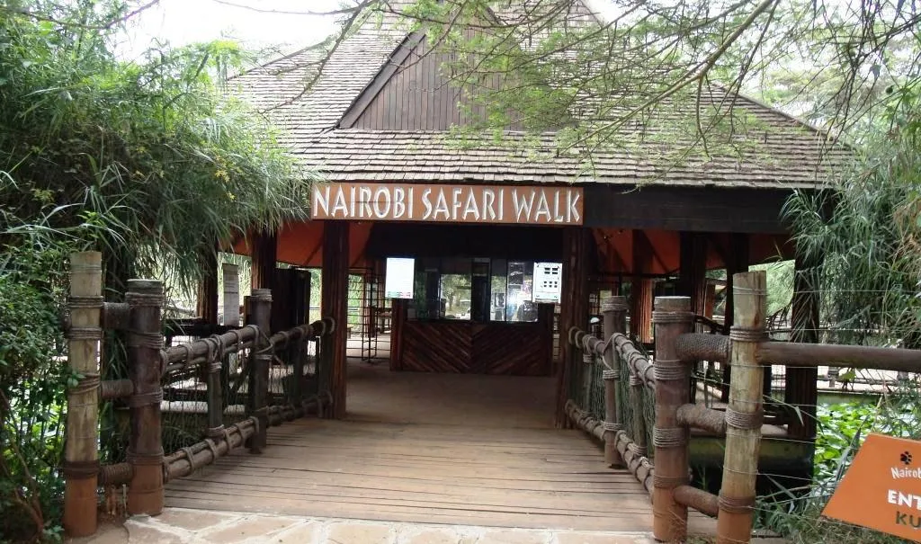 Nairobi-National-Park_Safari-Walk_AsafinaSafaris