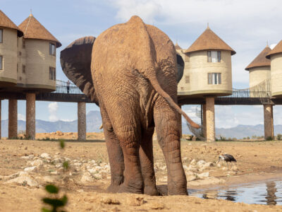 Asafina Safaris_4Days_Kenya_Safari Package