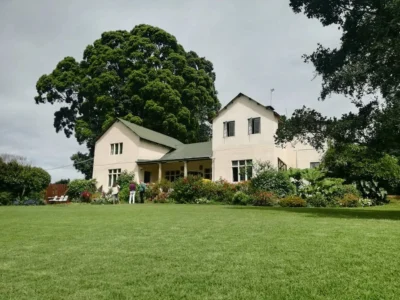 Kenya Excursions_Kiambethu Tea Farm