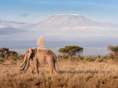 Kenya Tour and Safari Packages by Asafina Safaris