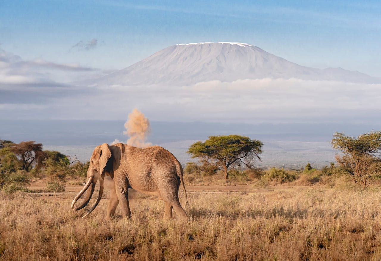 Kenya Tour and Safari Packages by Asafina Safaris