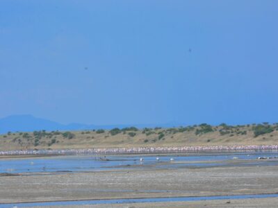 Asafina Safaris_Lake Magadi Day Tour